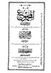 المجموع شرح المهذب 6